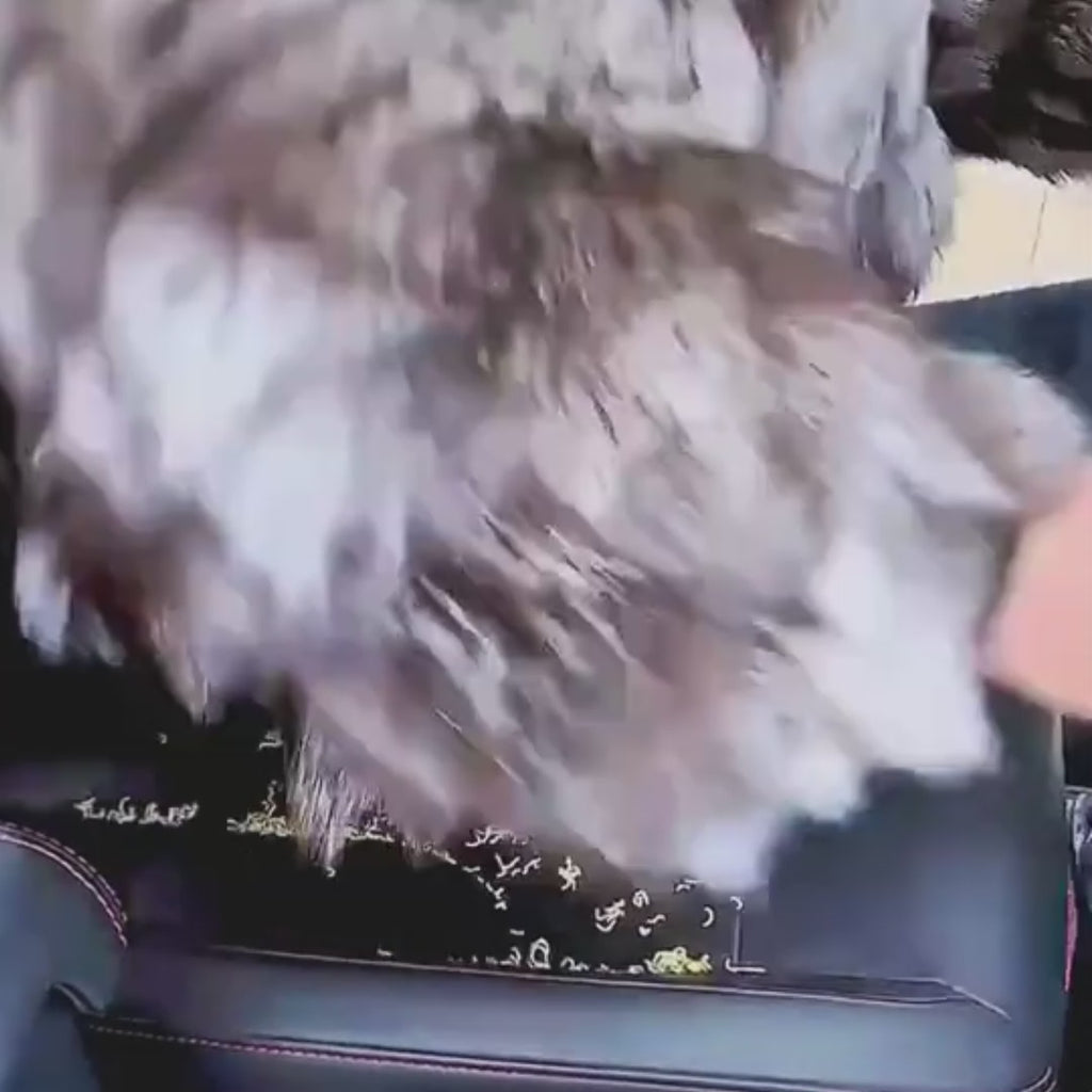 Aspirador Portátil para Coche