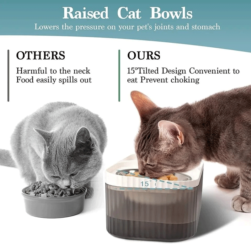 Comedero y Bebedero con Fuente