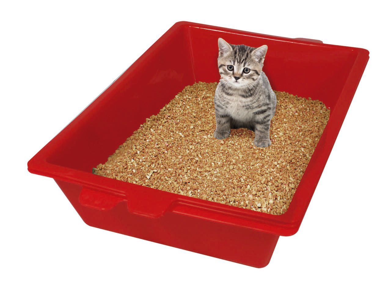 Limpieza Inteligente Arenero