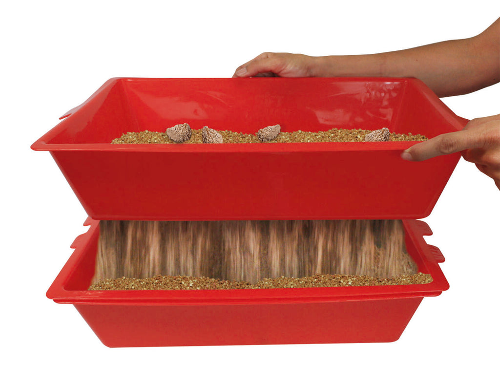 Limpieza Inteligente Arenero