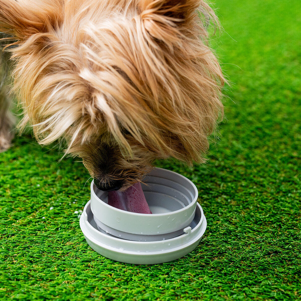 Correa Retráctil Perros 6 en 1