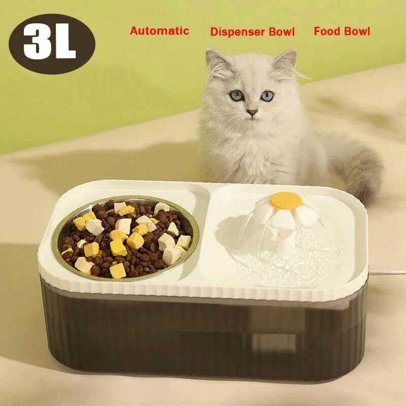 Comedero y Bebedero con Fuente